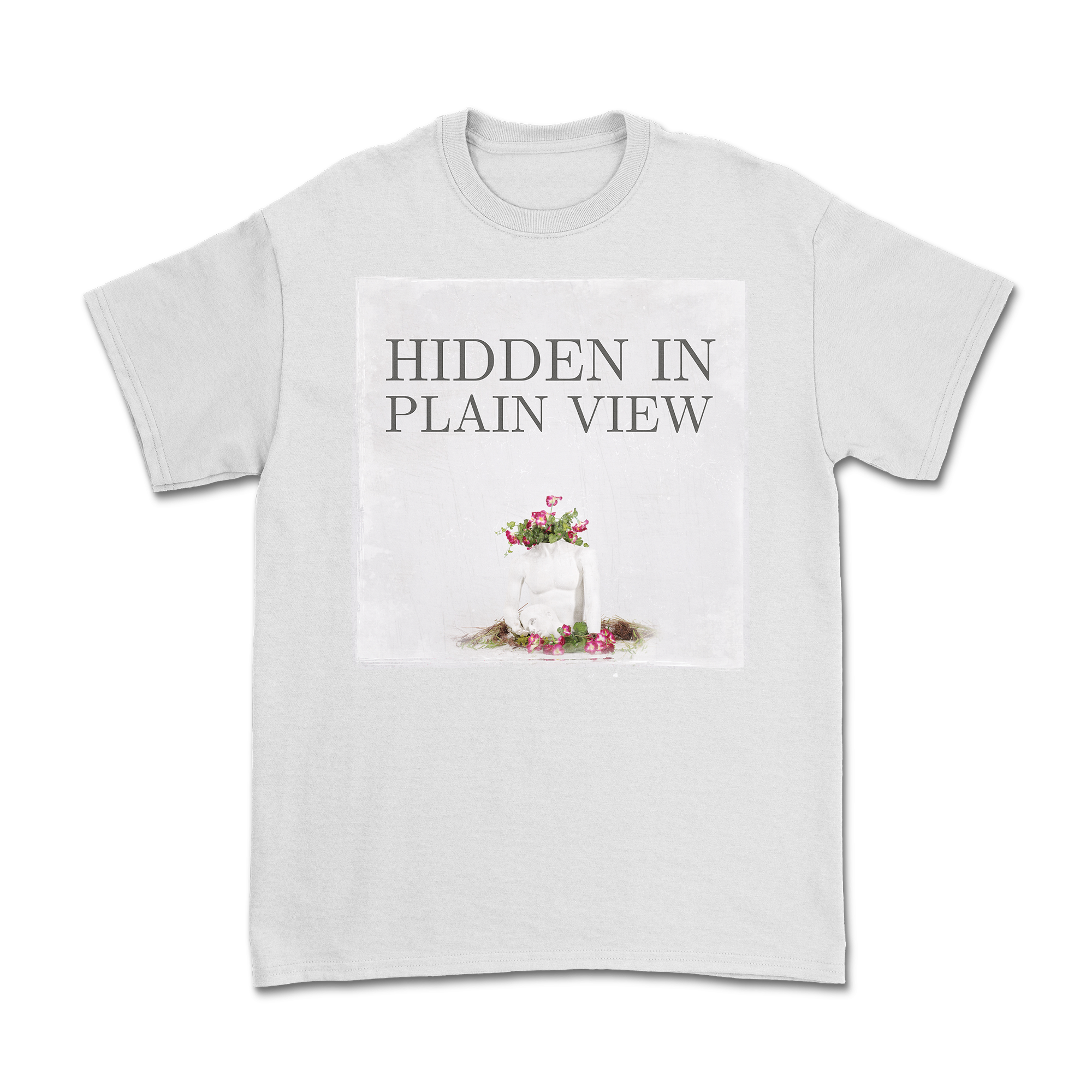 Hidden In Plain View - Temper Shirt