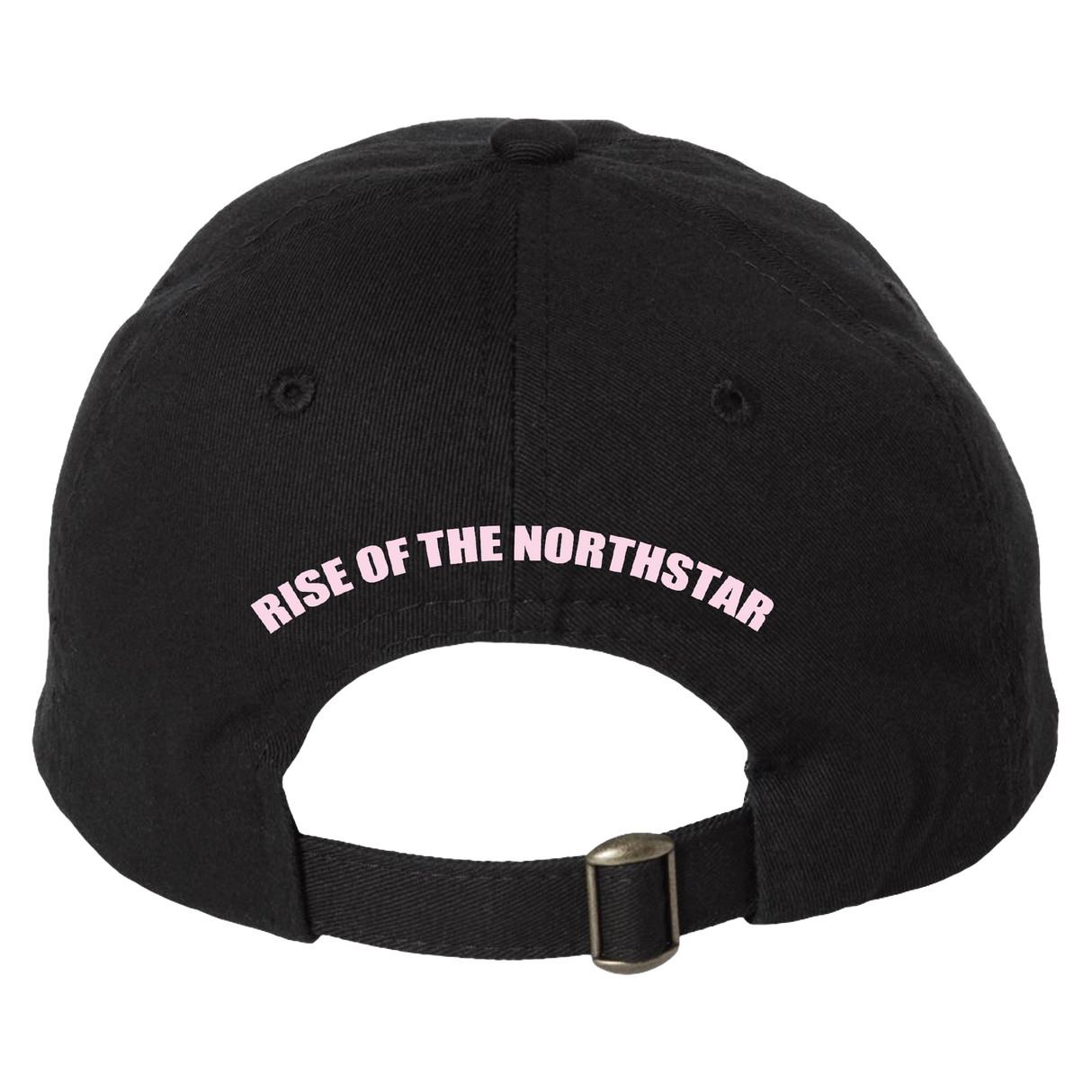 Rise of the Northstar - ROTN Pink Logo Dad Hat