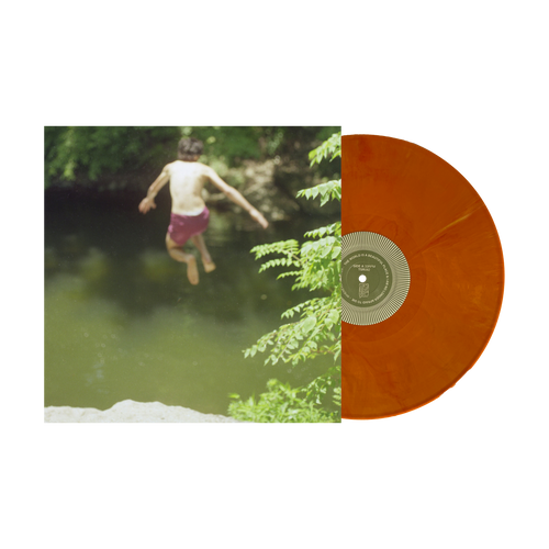 TWIABP - Whenever, If Ever Vinyl
