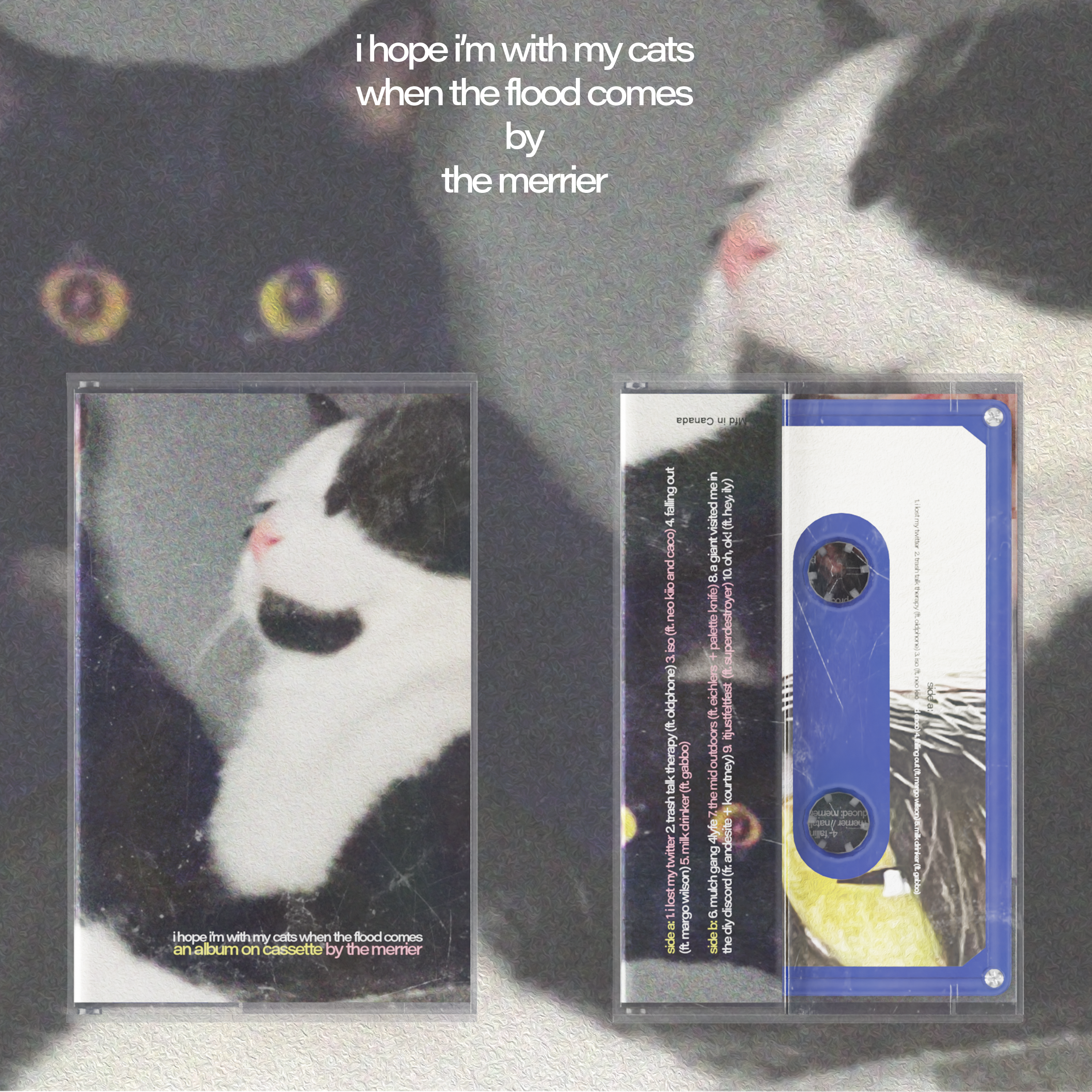 The Merrier - i hope i'm with my cats when the flood comes Cassette (Pre-Order)