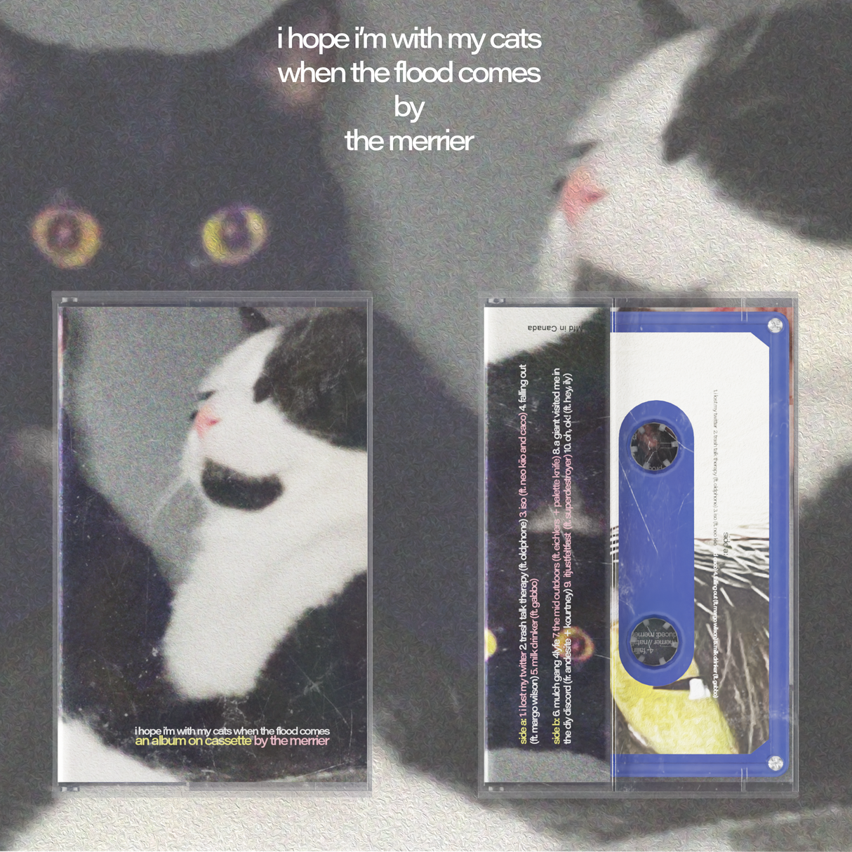 The Merrier - i hope i'm with my cats when the flood comes Cassette