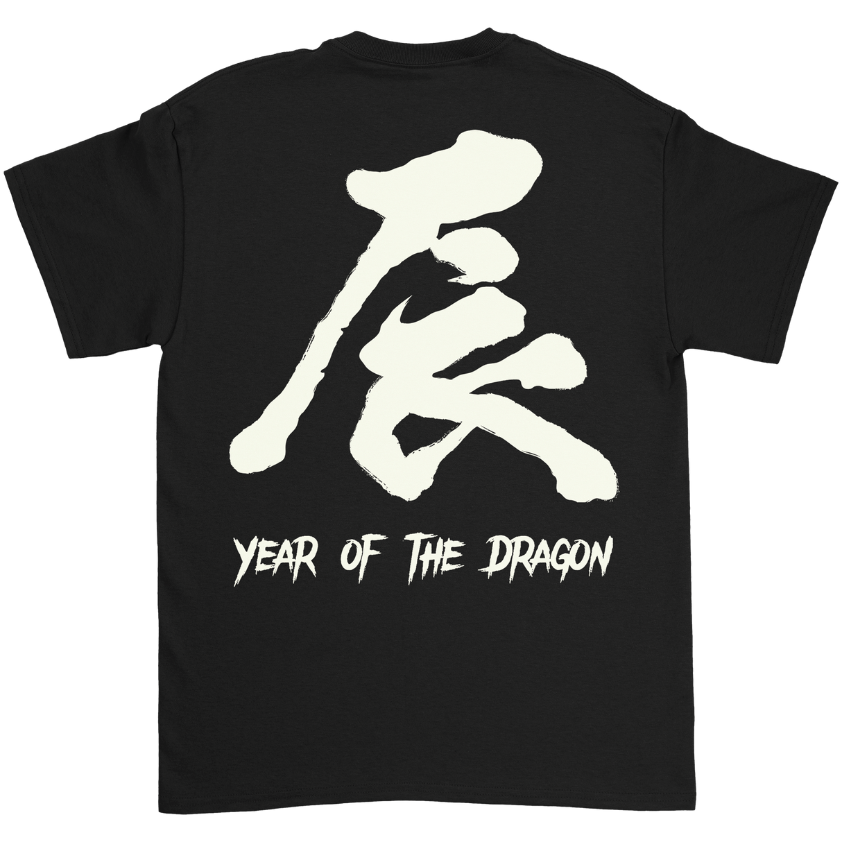 College Burnout - Year of the Dragon T-Shirt