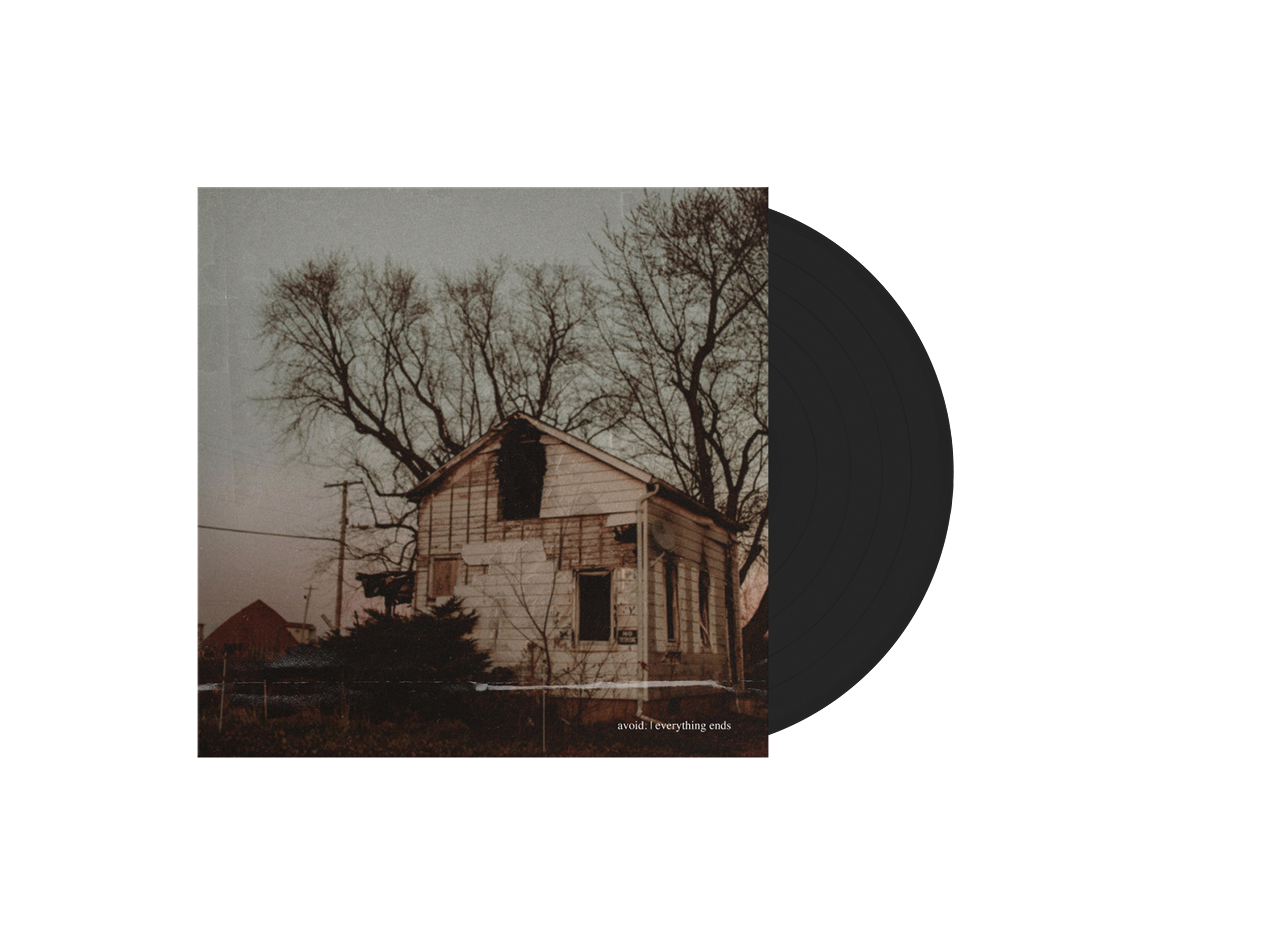 AVOID - Everything Ends Vinyl (Black)