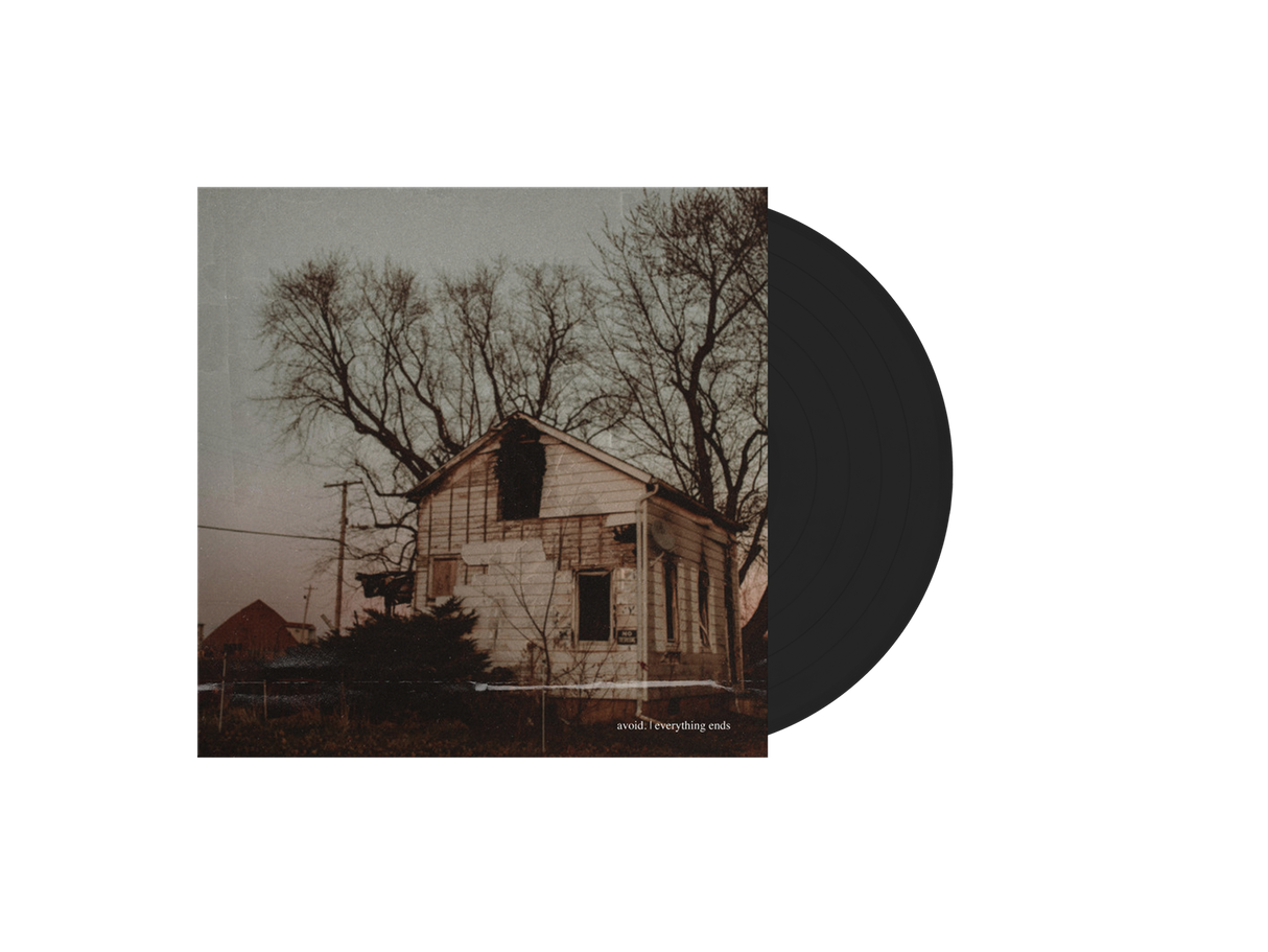 AVOID - Everything Ends Vinyl (Black)