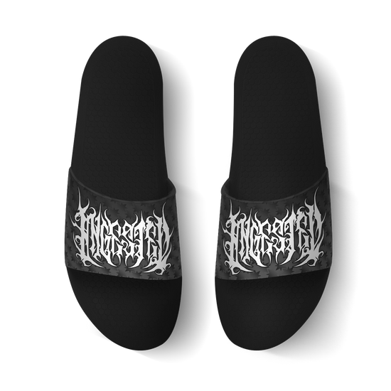 Ingested - Slides
